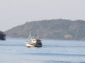 PY_PIC_32