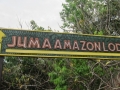 AM_pic_0