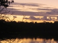AM_pic_13