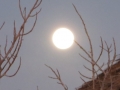 AM_pic_14
