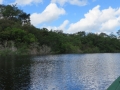 AM_pic_15