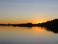 AM_pic_19