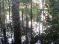 AM_pic_2