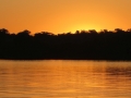 AM_pic_20