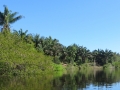 AM_pic_21