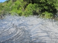 AM_pic_22