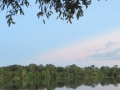 AM_pic_3
