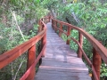 AM_pic_32