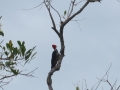 AM_pic_34