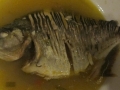 AM_pic_35