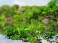 AM_pic_36
