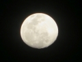 AM_pic_4