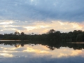AM_pic_5