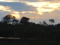 AM_pic_6