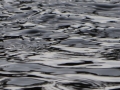 AM_pic_9
