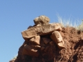 P1010140