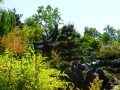 P1010260