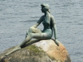 P1010274