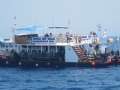 Zyp_13_09