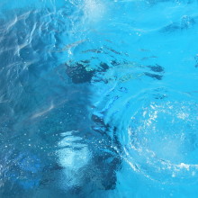 <KENOX S760  / Samsung S760>