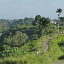 Ubud_3