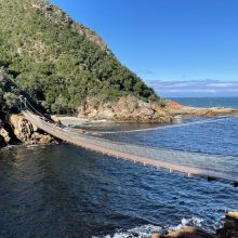 1DF3386E-E285-41A8-A09C-900AE8926585