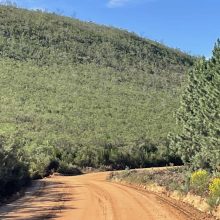 464E1DFB-920E-4FC2-A582-FD0B088012AC