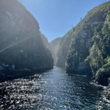 4DE9350E-8443-4BA1-A72B-15CFC48D26A0