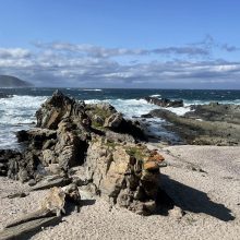 521F8AD3-D07D-45A1-A141-0A8451EC6ACD