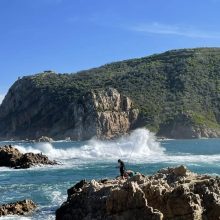 8CA47902-035A-4A30-BE30-DFCCF86FED39