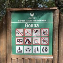 8EF9A6E7-7221-40FC-A54B-65286F7B9079