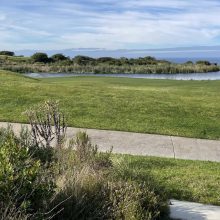 C0BE0AEC-EE65-4668-85FA-576AE45CD8C8