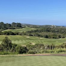 C1578774-7E20-44B4-AC0E-42349955C8AD